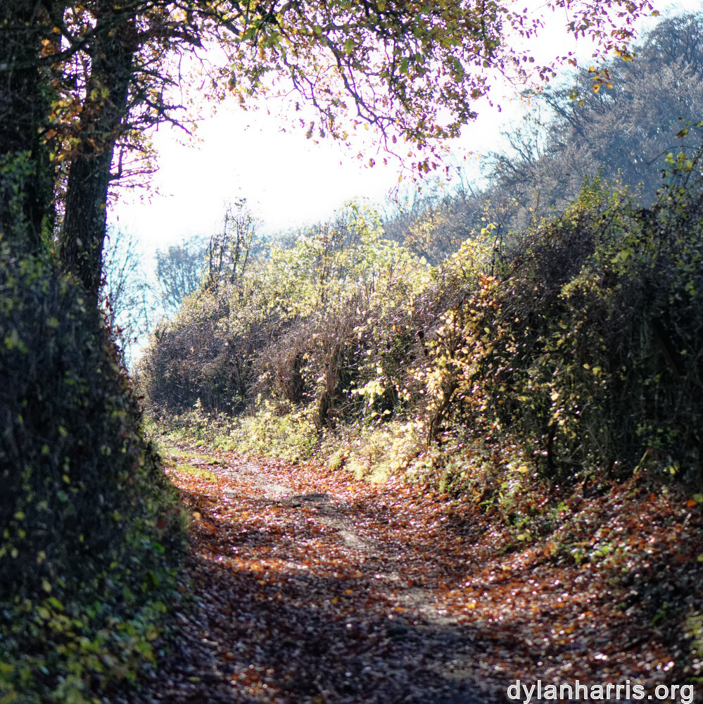 image: This is &lsquo;terres rouges (xxi) 6&rsquo;.