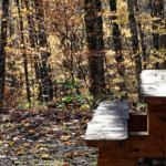 image: Image from the photoset &lsquo;terres rouges (xxi)&rsquo;.