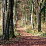 image: Image from the photoset &lsquo;terres rouges (xxi)&rsquo;.