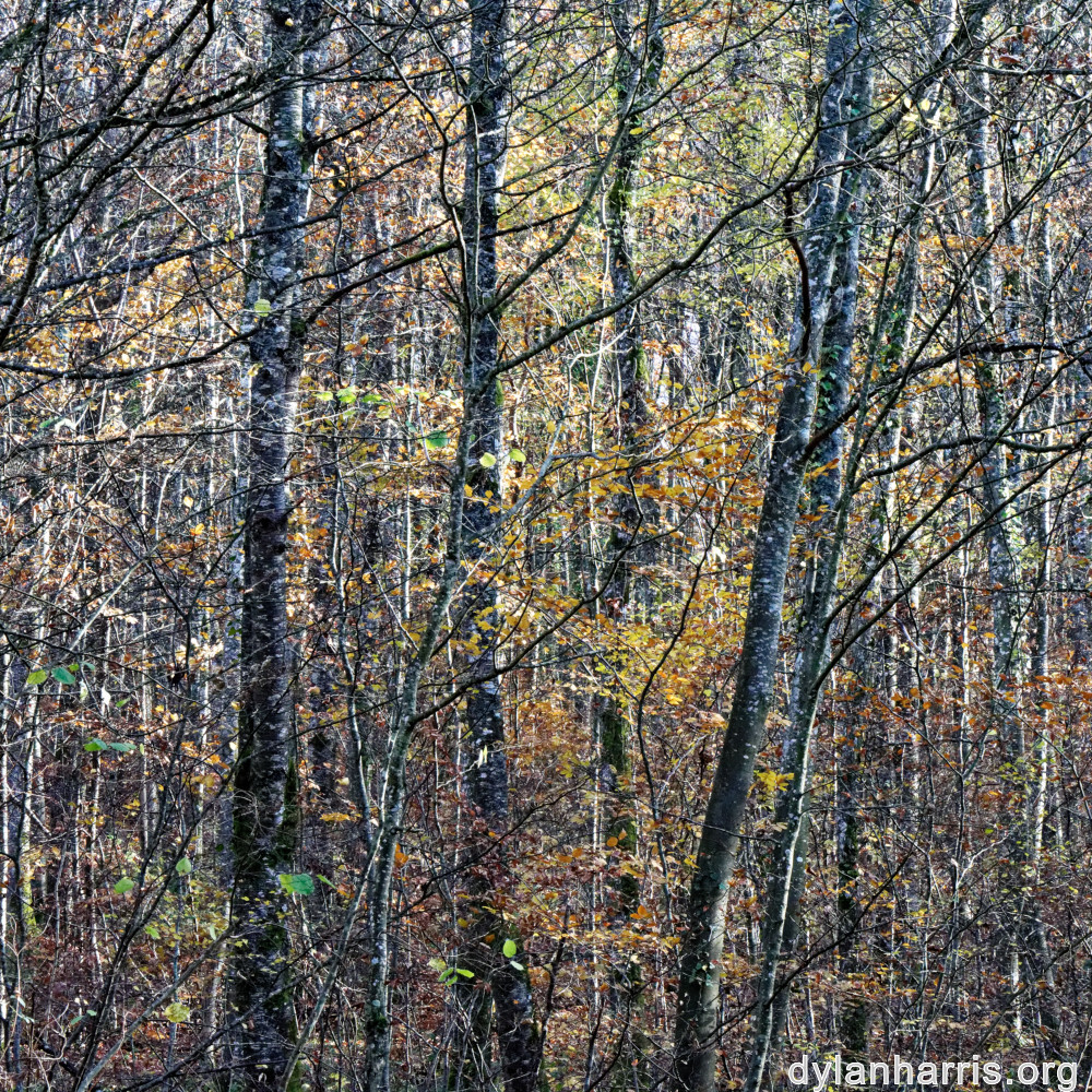 image: This is &lsquo;terres rouges (xxii) 1&rsquo;.