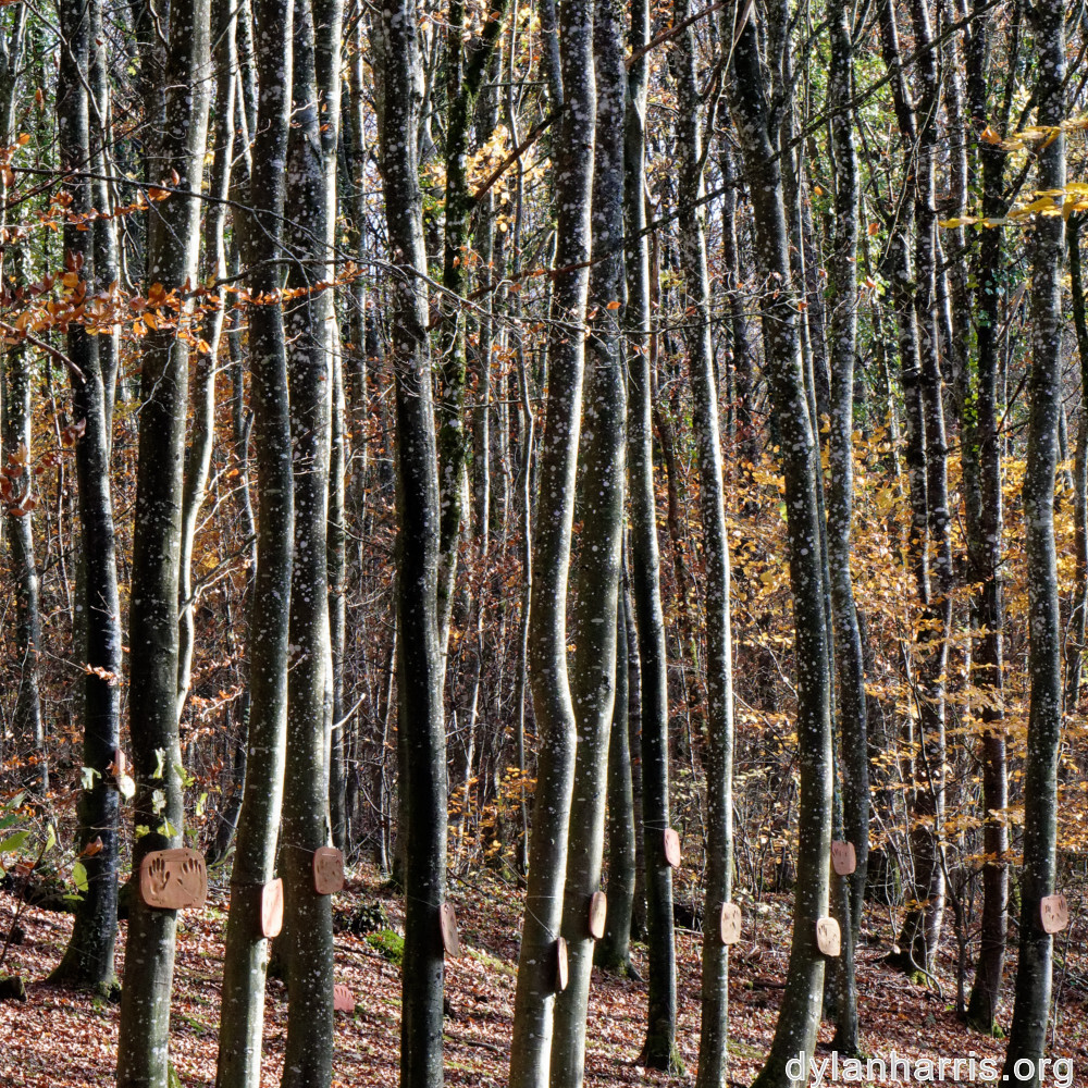 image: This is &lsquo;terres rouges (xxii) 2&rsquo;.