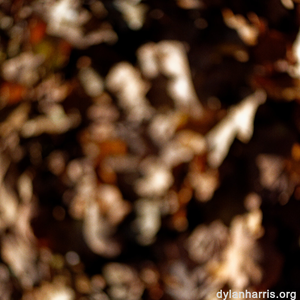 image: This is &lsquo;terres rouges (xxii) 3&rsquo;.