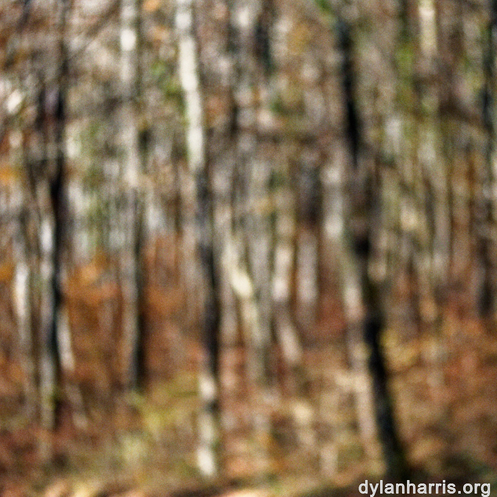 image: This is &lsquo;terres rouges (xxii) 5&rsquo;.