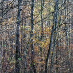 image: Image from the photoset &lsquo;terres rouges (xxii)&rsquo;.