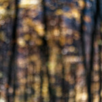 image: Image from the photoset &lsquo;terres rouges (xxii)&rsquo;.