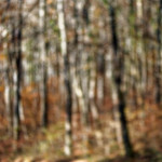 image: Image from the photoset &lsquo;terres rouges (xxii)&rsquo;.