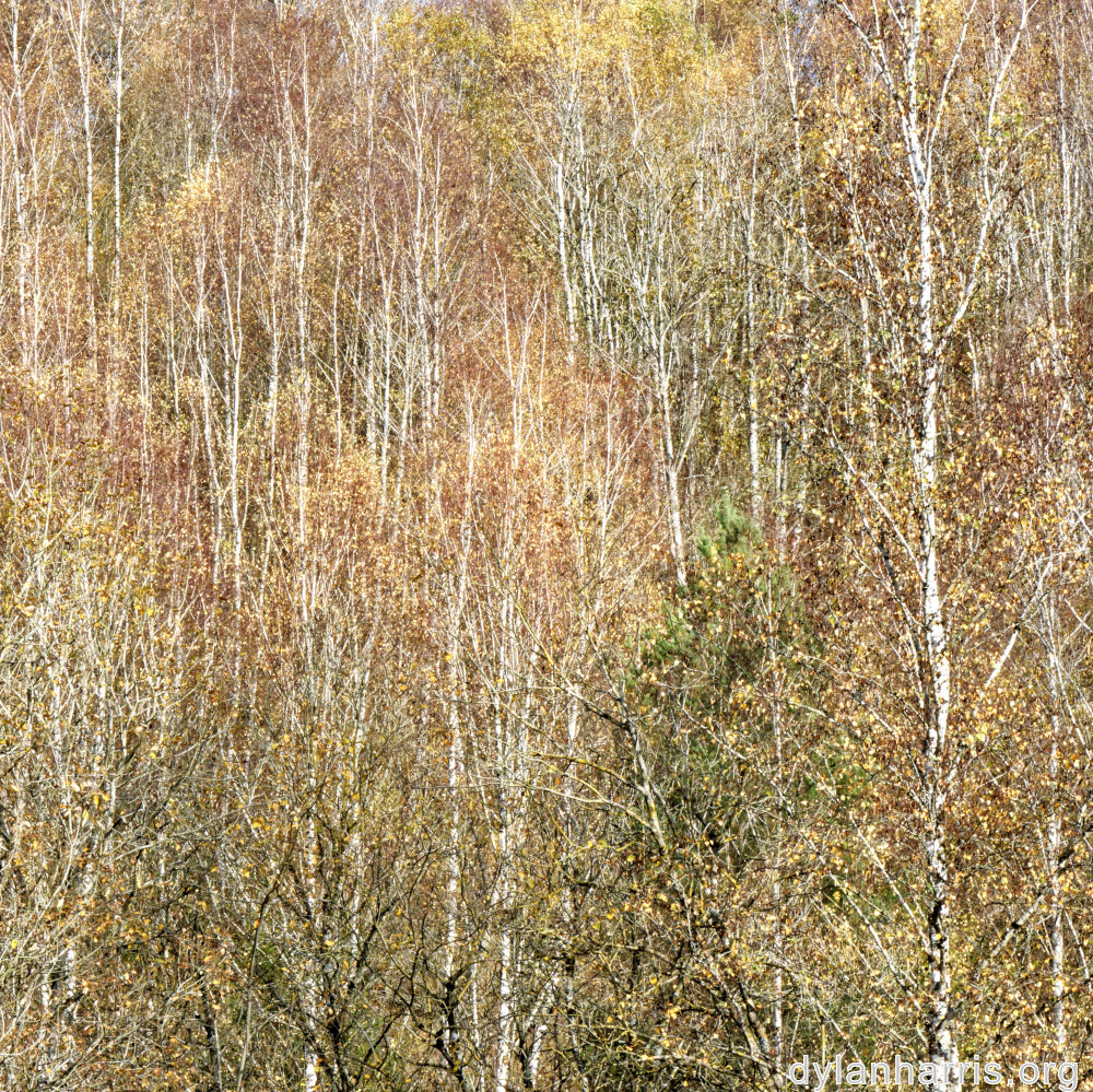 image: This is &lsquo;rumelange 5&rsquo;.