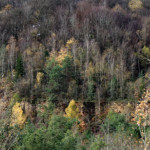 image: Image from the photoset &lsquo;rumelange (xxviii)&rsquo;.