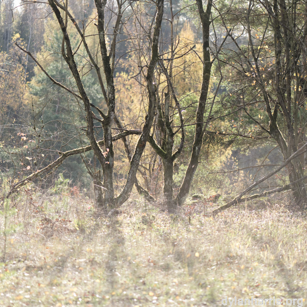 image: This is &lsquo;rumelange 1&rsquo;.