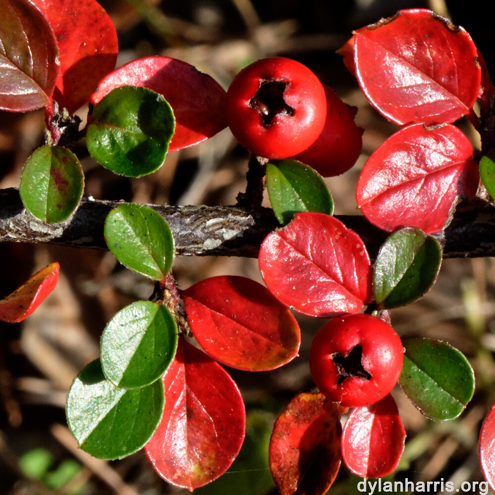 image: This is &lsquo;rumelange 3&rsquo;.