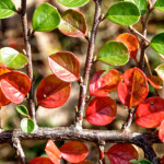 image: Image from the photoset &lsquo;rumelange (xxix)&rsquo;.