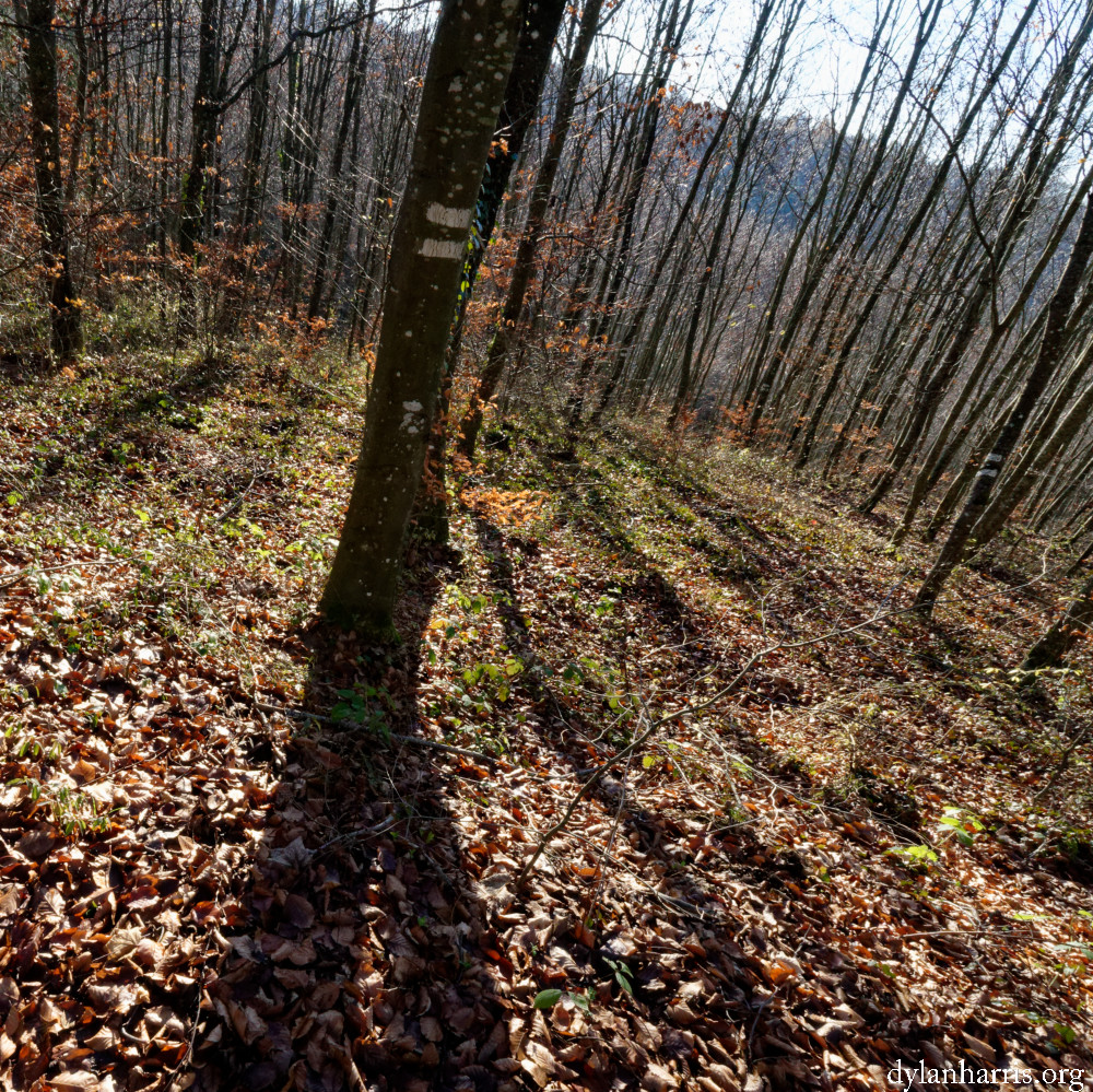 image: This is &lsquo;terres rouges (xxiii) 1&rsquo;.