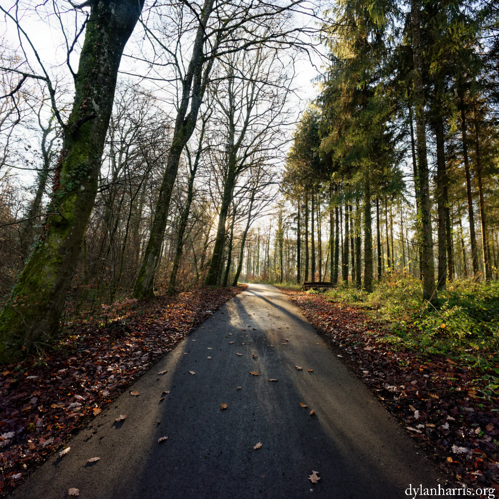 image: This is &lsquo;terres rouges (xxiii) 4&rsquo;.