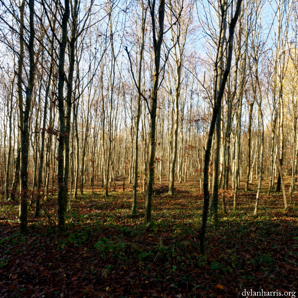 image: This is &lsquo;terres rouges (xxiii) 5&rsquo;.