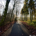 image: Image from the photoset &lsquo;terres rouges (xxiii)&rsquo;.