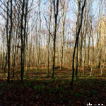 image: Image from the photoset &lsquo;terres rouges (xxiii)&rsquo;.