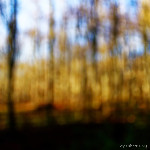 image: Image from the photoset &lsquo;terres rouges (xxiii)&rsquo;.