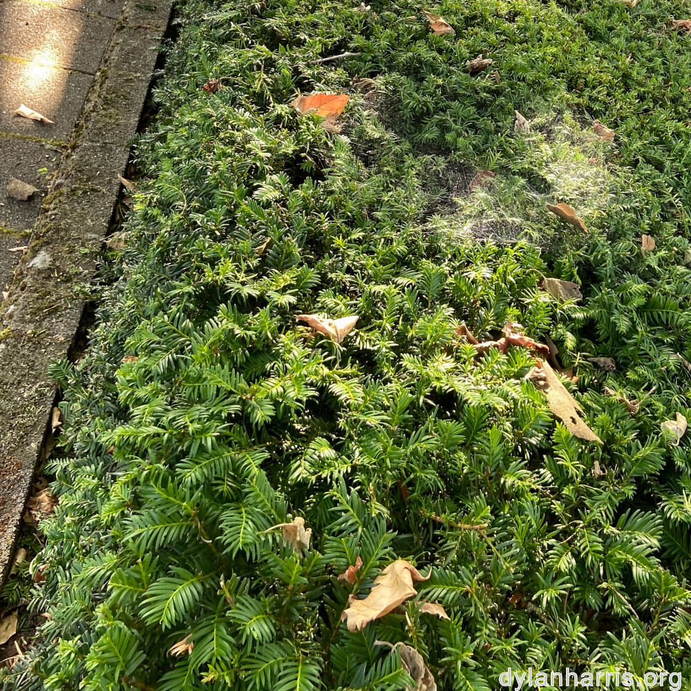 image: This is &lsquo;untitled (xlv) 1&rsquo;.