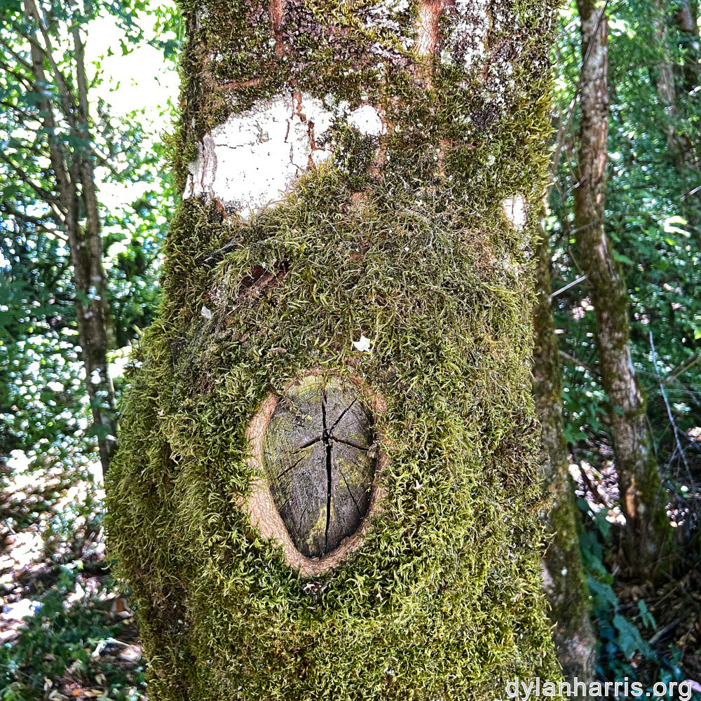 image: This is &lsquo;untitled (xlv) 2&rsquo;.