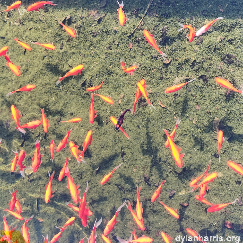 image: This is &lsquo;untitled (xlv) 5&rsquo;.