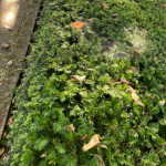 image: Image from the photoset &lsquo;untitled (xlv)&rsquo;.