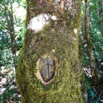 image: Image from the photoset &lsquo;untitled (xlv)&rsquo;.