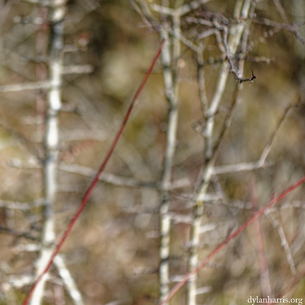 image: This is &lsquo;rumelange (xxx) 3&rsquo;.