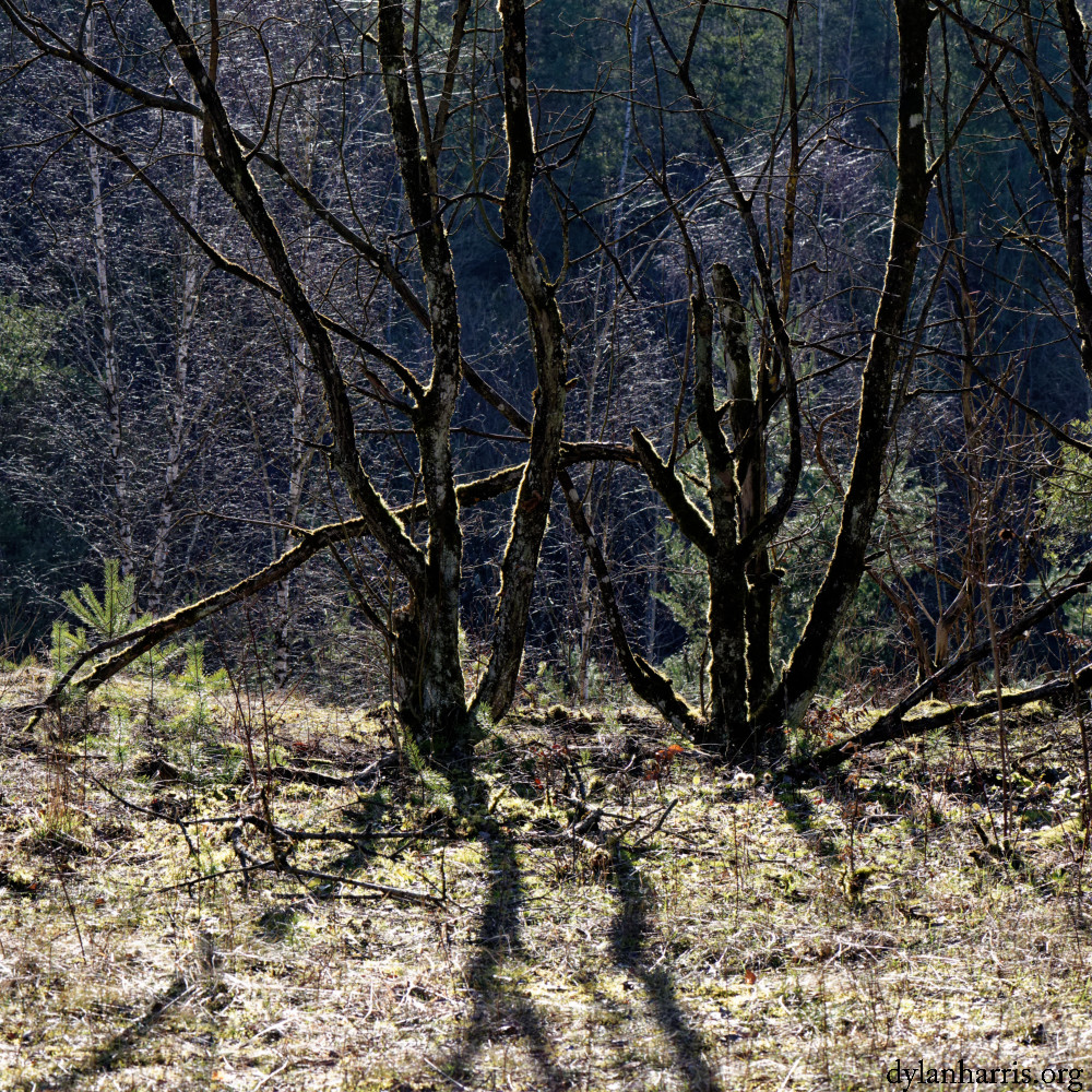 image: This is &lsquo;rumelange (xxx) 7&rsquo;.