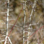 image: Image from the photoset &lsquo;rumelange (xxx)&rsquo;.