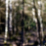 image: Image from the photoset &lsquo;rumelange (xxx)&rsquo;.