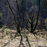 image: Image from the photoset &lsquo;rumelange (xxx)&rsquo;.