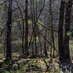 image: Image from the photoset &lsquo;rumelange (xxx)&rsquo;.