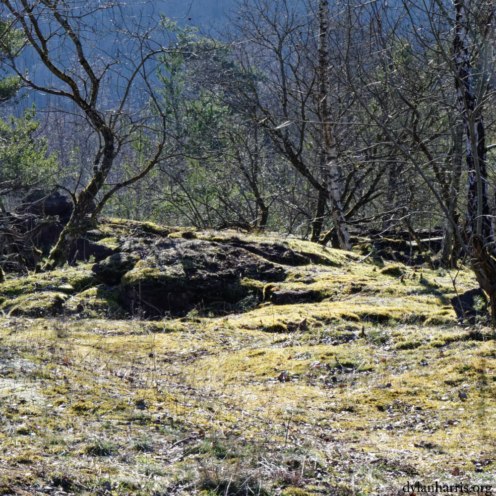 image: This is &lsquo;rumelange (xxxi) 5&rsquo;.