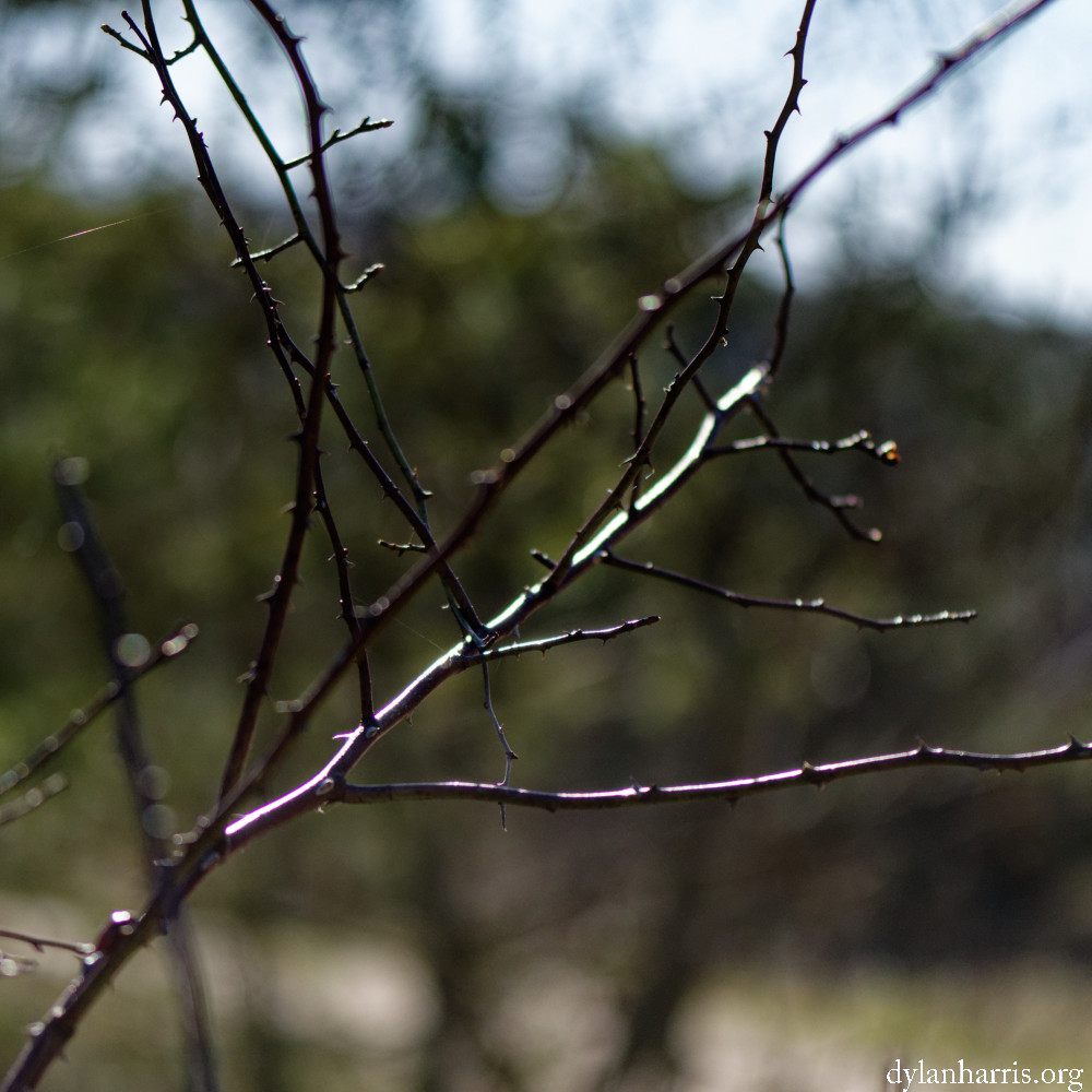 image: This is &lsquo;rumelange (xxxi) 7&rsquo;.