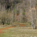 image: Image from the photoset &lsquo;rumelange (xxxi)&rsquo;.