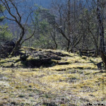 image: Image from the photoset &lsquo;rumelange (xxxi)&rsquo;.