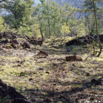 image: Image from the photoset &lsquo;rumelange (xxxi)&rsquo;.