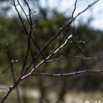 image: Image from the photoset &lsquo;rumelange (xxxi)&rsquo;.