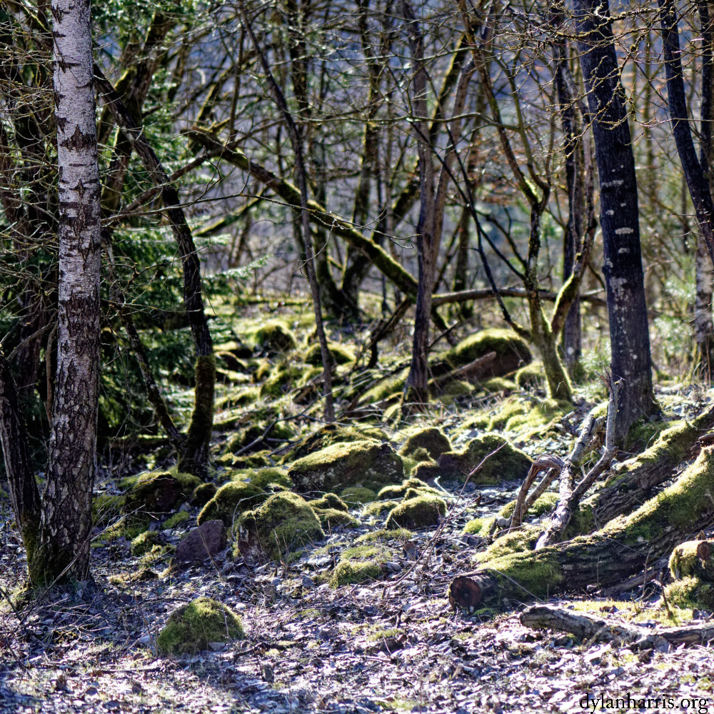 image: This is &lsquo;rumelange (xxxii) 3&rsquo;.