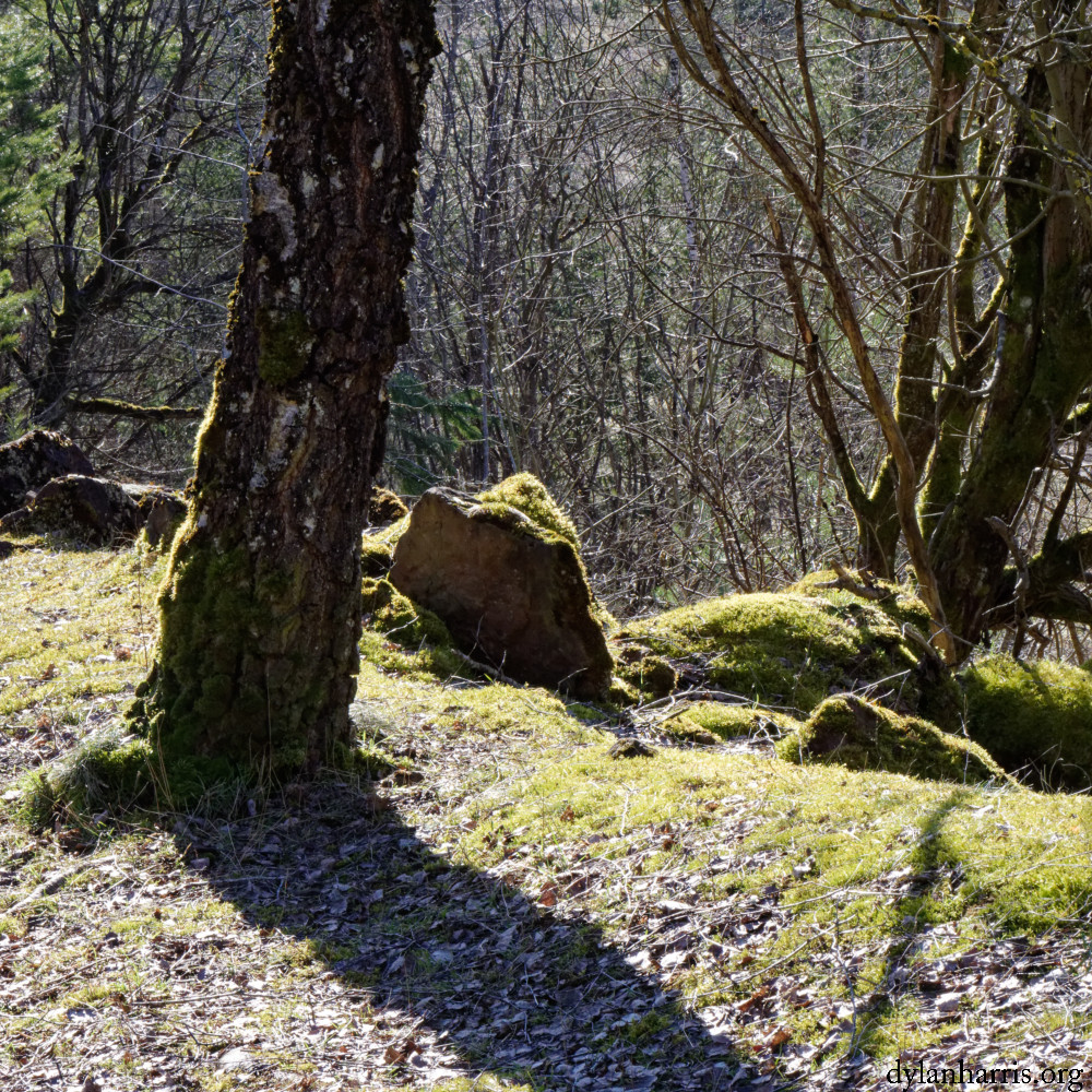 image: This is &lsquo;rumelange (xxxii) 5&rsquo;.