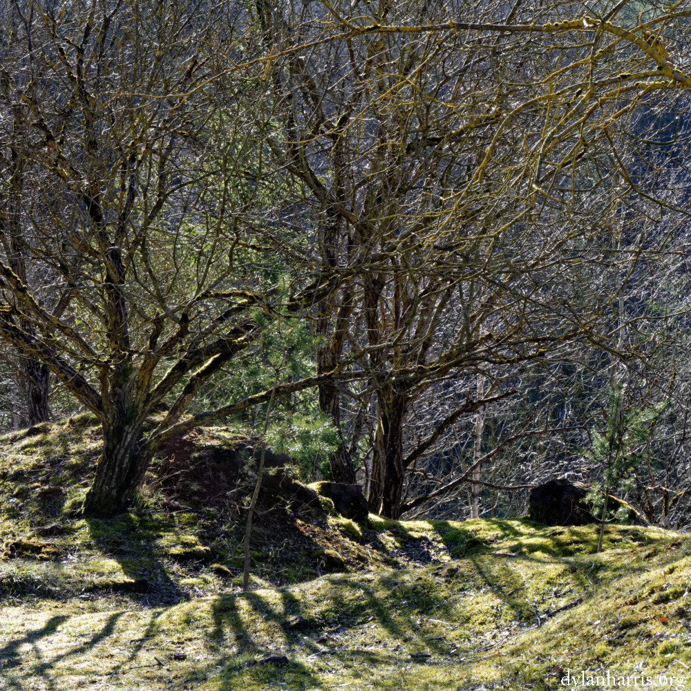 image: This is &lsquo;rumelange (xxxii) 6&rsquo;.