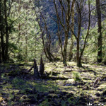 image: Image from the photoset &lsquo;rumelange (xxxii)&rsquo;.