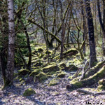 image: Image from the photoset &lsquo;rumelange (xxxii)&rsquo;.