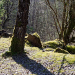 image: Image from the photoset &lsquo;rumelange (xxxii)&rsquo;.