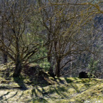 image: Image from the photoset &lsquo;rumelange (xxxii)&rsquo;.