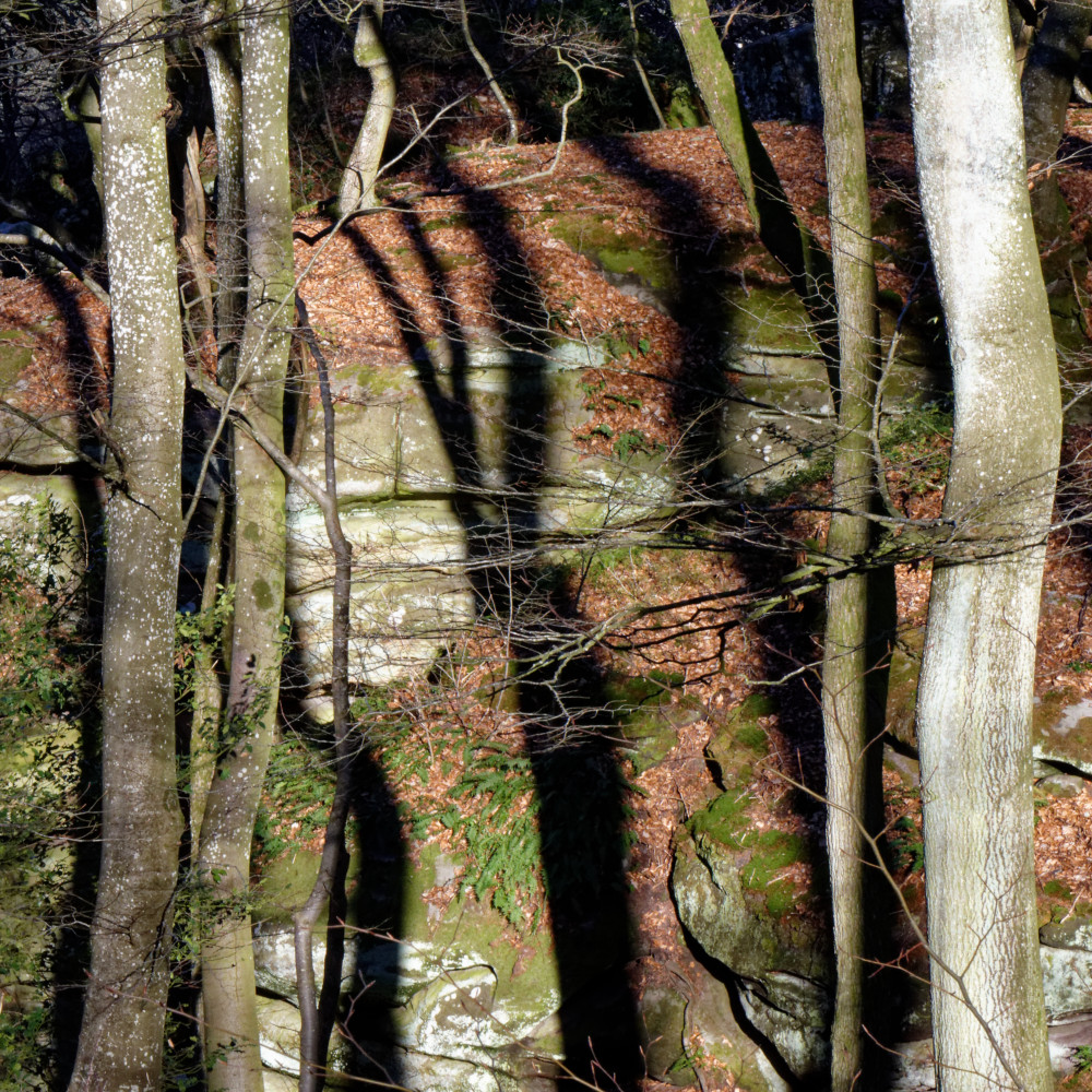 image: This is &lsquo;mullerthal (v) 2&rsquo;.