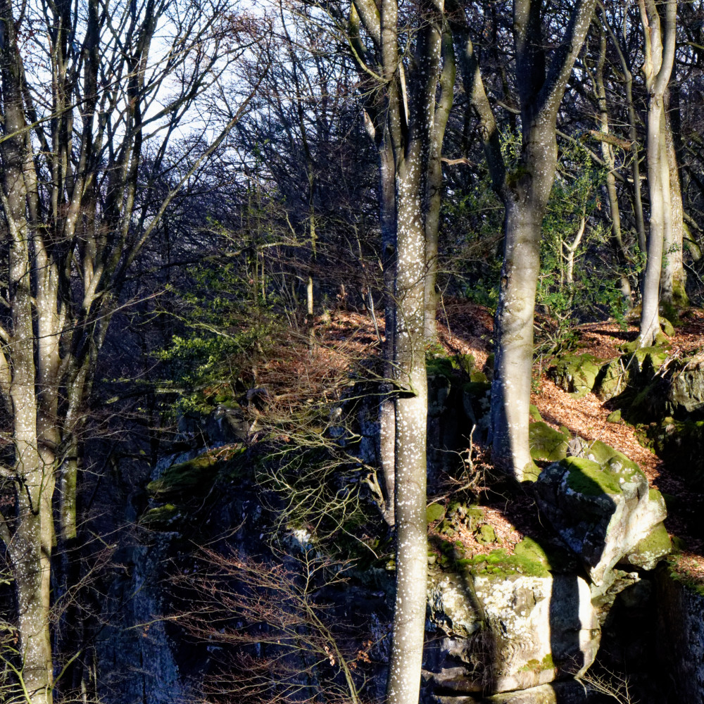 image: This is &lsquo;mullerthal (v) 3&rsquo;.