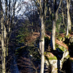 image: Image from the photoset &lsquo;mullerthal (v)&rsquo;.