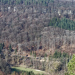 image: Image from the photoset &lsquo;mullerthal (v)&rsquo;.