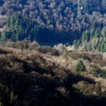 image: Image from the photoset &lsquo;mullerthal (v)&rsquo;.